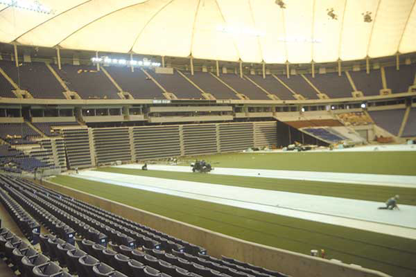 striping metrodome 1980