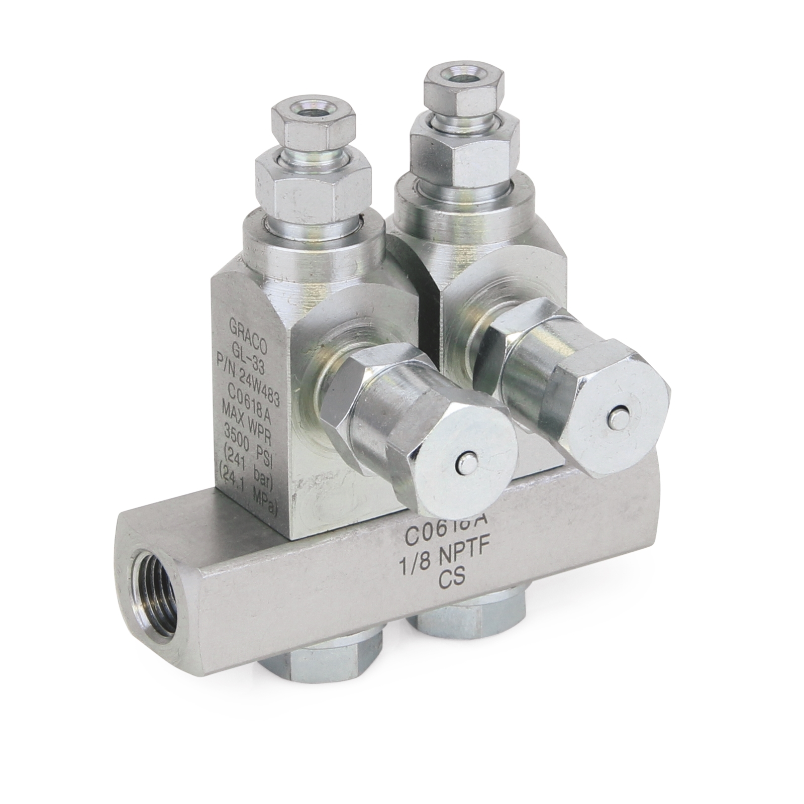 GL-32™ Grease Injector, 304 Stainless Steel, 2-Injector Manifold, 1/4 NPT